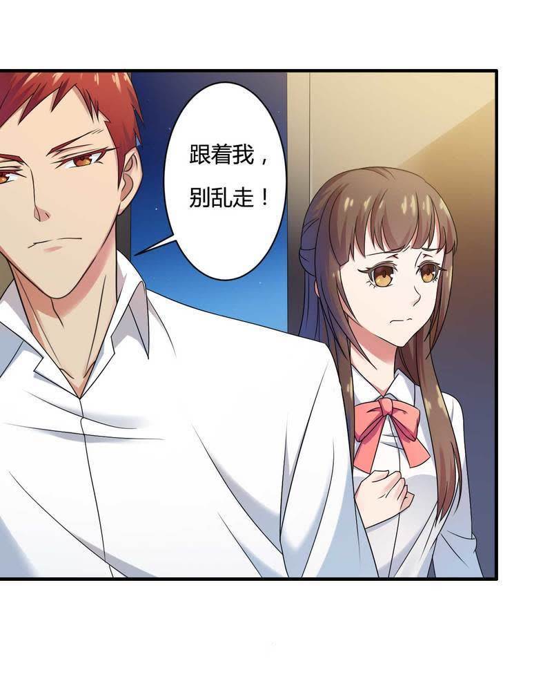 总裁的私有小秘