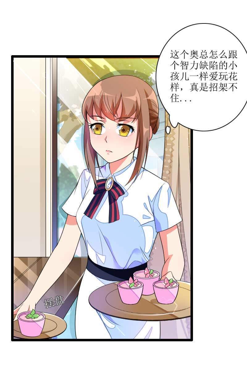总裁的私有小秘