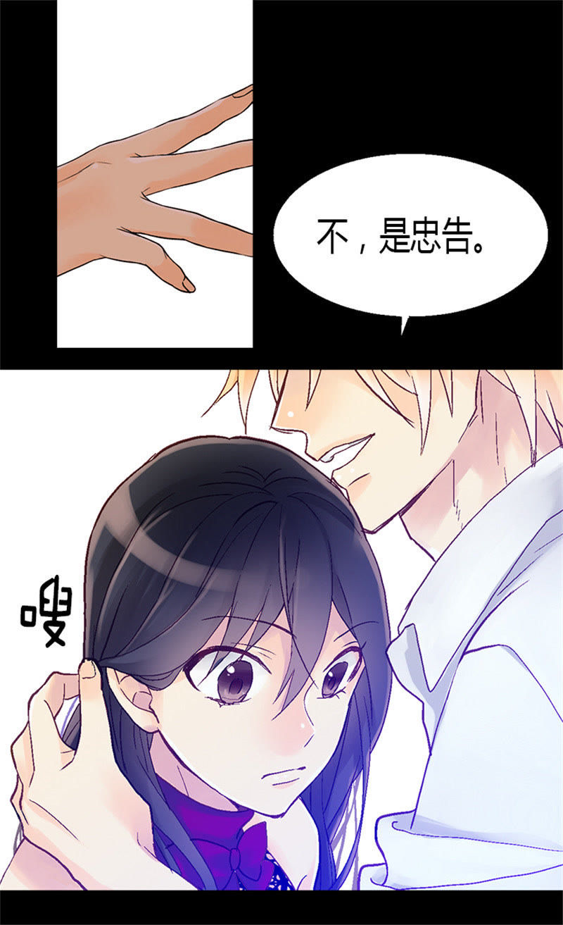 呆子王妃我要和离 糊涂情感呆子王妃小说